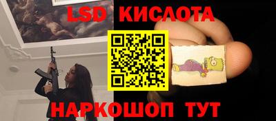 индика Обь