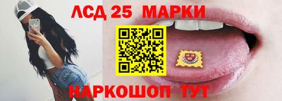 индика Обь