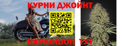 индика Нягань