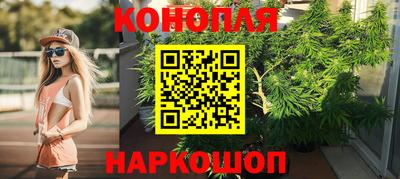 индика Обь
