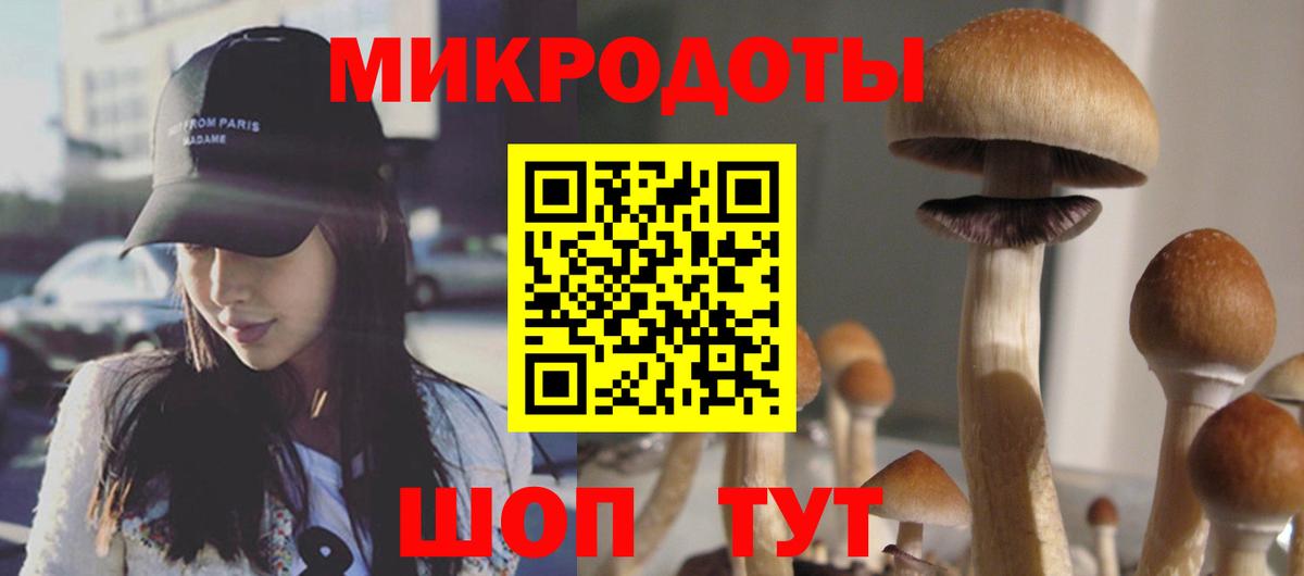 Сланцы  Псилоцибиновые грибы ЛСД  Галлюциногенные грибы Cubensis  Вход с VPN 